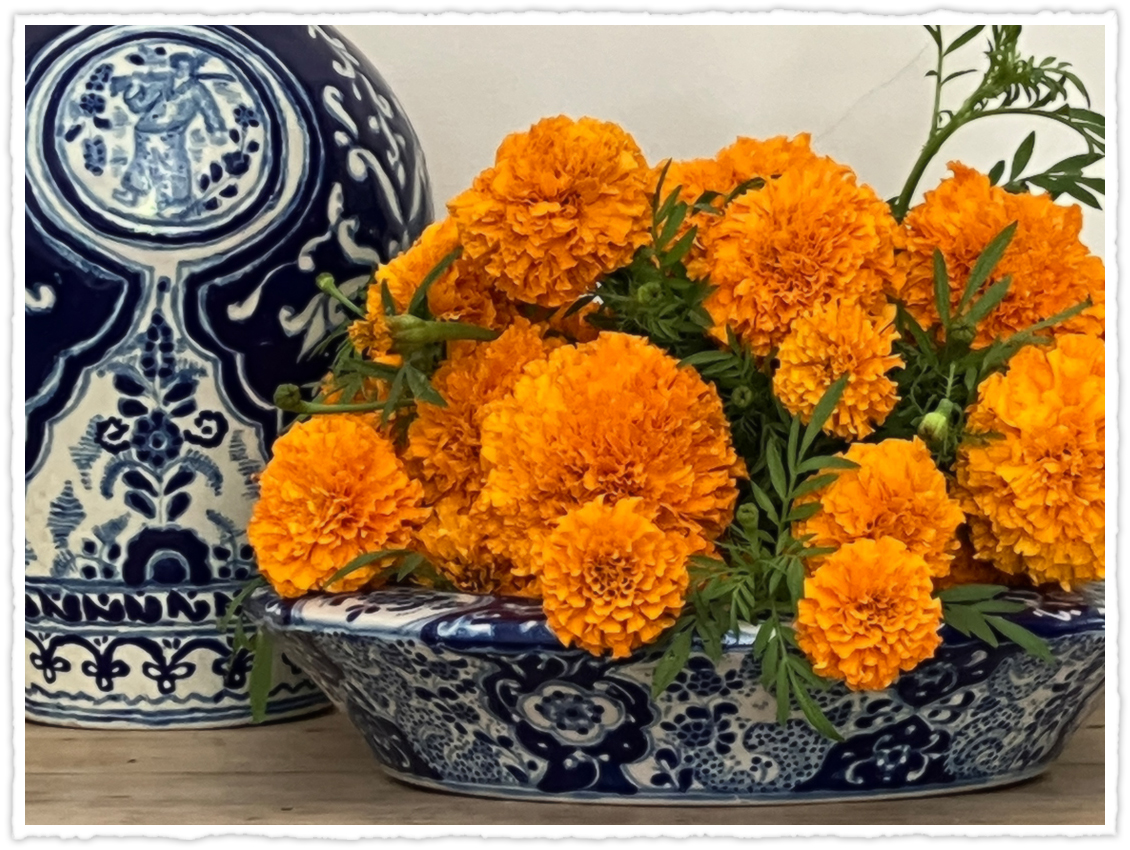 Two talavera pots with marigolds